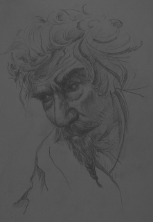 Шаман. Книга вторая