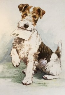 Щенок по кличке Бим