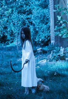 Шесть домов в деревне