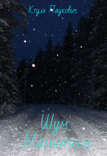 Шум Магнитолы