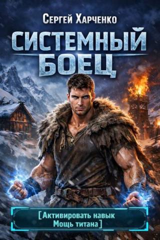 Системный Боец