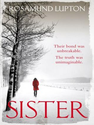 Sister: A Novel