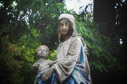 Скелет в шкафу (СИ)