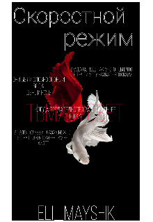Скоростной режим