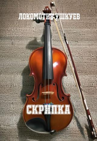 Скрипка