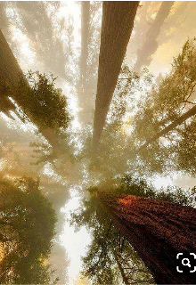 Слякотная сказка (сказочки для настоящих девочек)