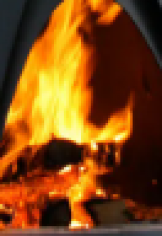 Смородина. Паромщик.