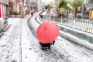 Снег по-японски