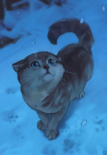 Снежный кот
