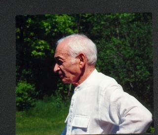 СОБАКИ. Стихи.