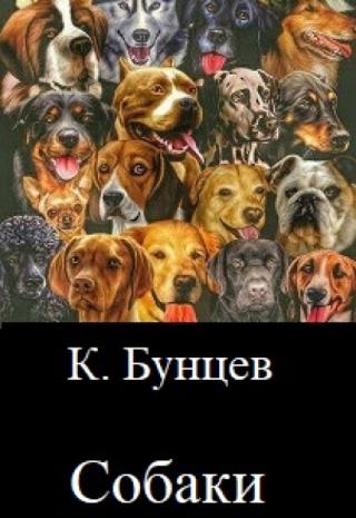 Собаки.