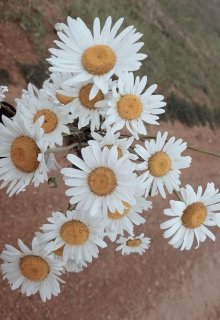 Солнце Рядом. Будь