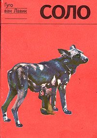 Соло. История щенка гиеновой собаки