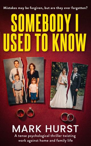 Somebody I Used to Know