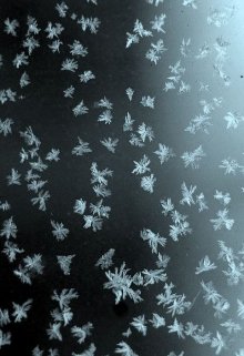 Сорок минут