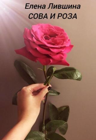 Сова и Роза