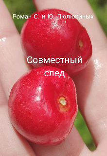 Совместный след