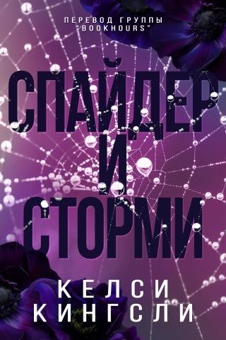 Спайдер и Сторми