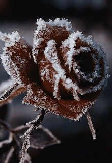 «стеклянный мальчик»