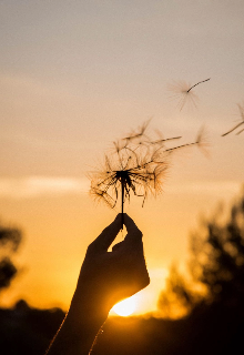 Стихи на эмоциях