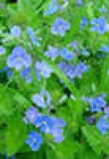 стихи про любовь