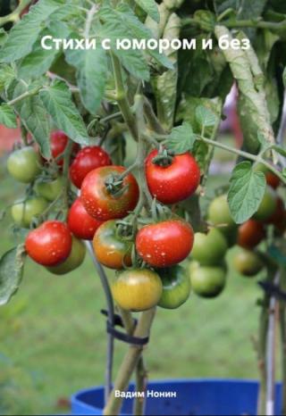 Стихи с юмором и без