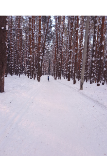 Стихи за гранью жизни