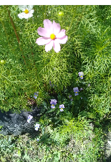 Стихотворения