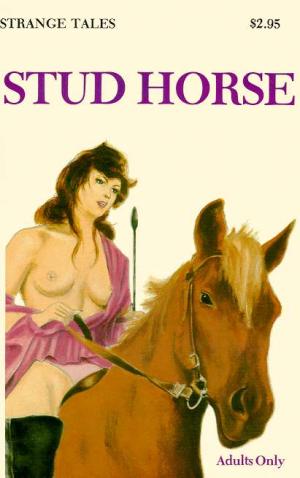 Stud horse