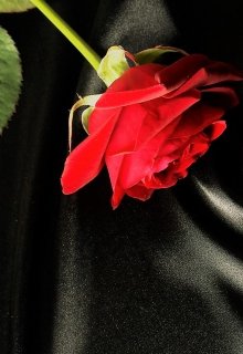 Сверхъестественно