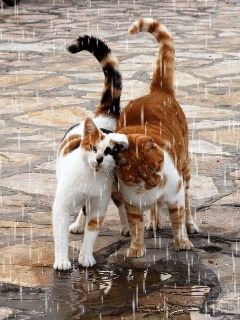 Такая разная любовь (СИ)