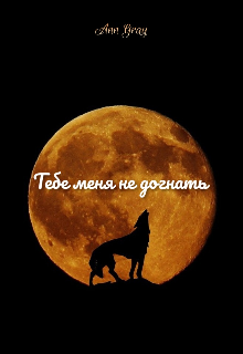 Тебе меня не догнать