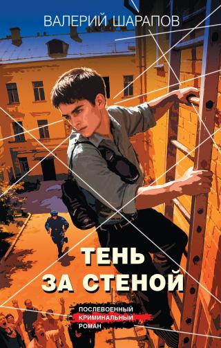 Тень за стеной [litres]