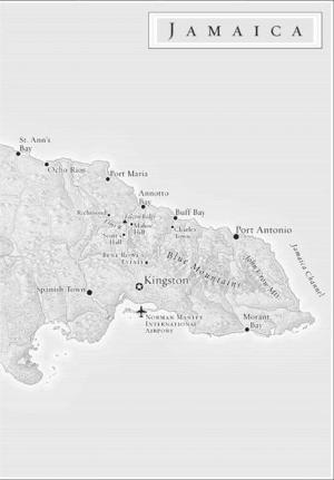 The Columbus Affair: A Novel