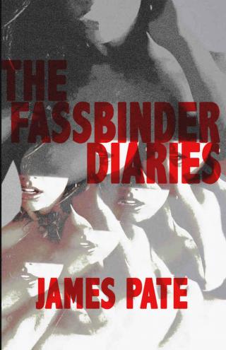 The Fassbinder Diaries