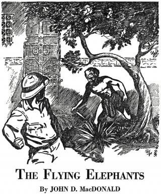 The Flying Elephants
