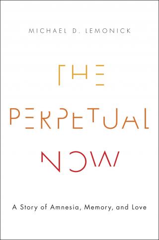 The Perpetual Now: A Story of Amnesia, Memory, and Love