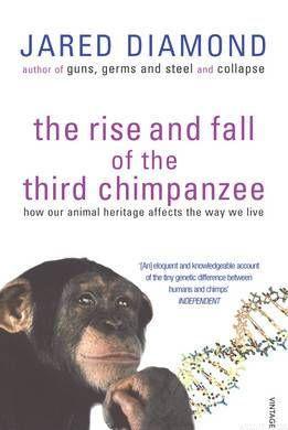 The rise and fall of the third chimpanzee