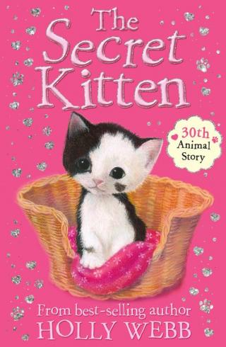 The Secret Kitten