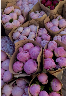 Только ты и я. Пожалуйста, верь мне!!