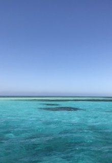 Трансмиссионер