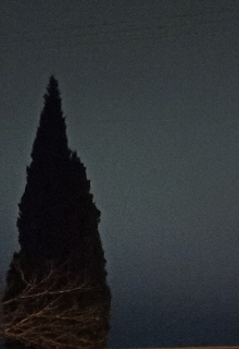 Тревожный побег в одиночество