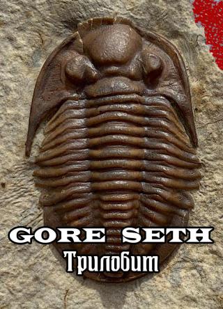 Трилобит (СИ) [calibre 2.75.1]