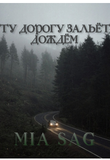Ту дорогу зальёт дождем