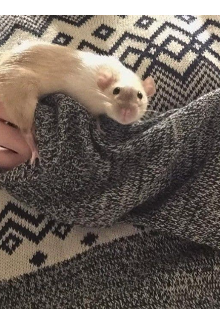 Ты не всегда одинок