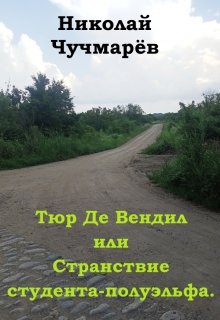 Тюр Де Вендил или Странствие студента-полуэльфа.