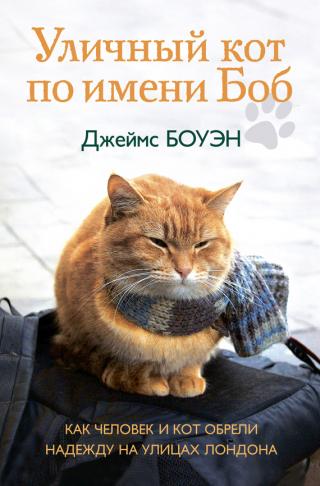 Уличный кот по имени Боб [Street cat named bob]