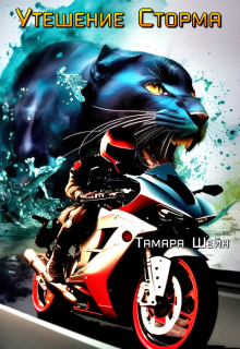 Утешение Сторма (фанфик по Новым Видам)