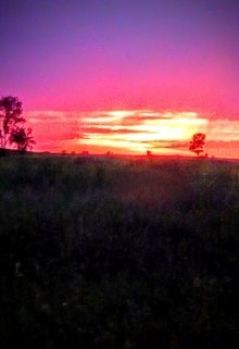 В июньской ночи