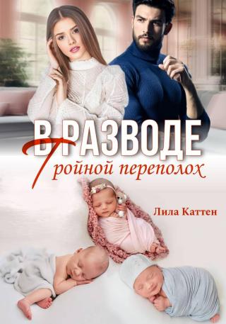 В разводе. Тройной переполох [publisher: SelfPub]
